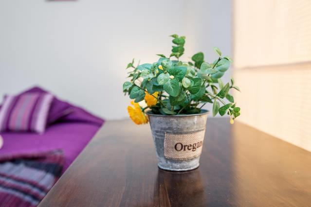 Pier 242 Miraflores B&B Lima Pokój zdjęcie